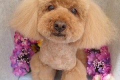 『ふわっふわになった～♪』