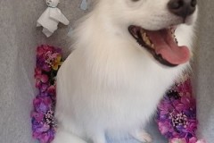 『いっぱい抜いてもらったよ～ん♪』