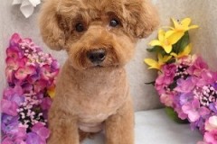 『可愛くしてもらいました♪』