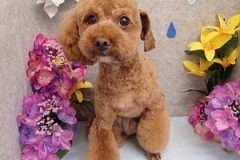 『どう？似合うかな？？』