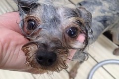 『これがあるのとないのとじゃ全然違うんだよ！！』