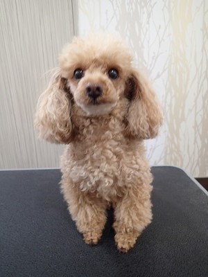 『さっぱりしてね!』