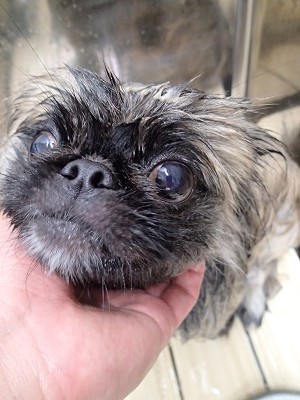 『パック気持ちいい~』