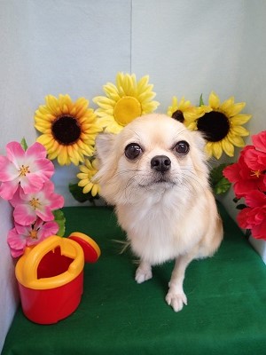 『スッキリしたわ♪』