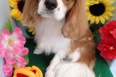 『初シャンプー頑張った♪』