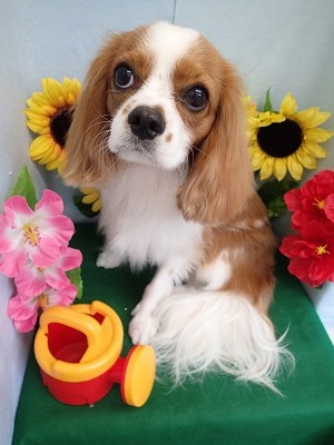 『初シャンプー頑張った♪』