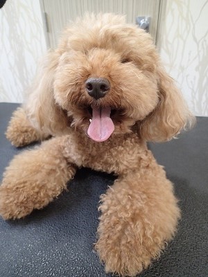 『結構伸びちゃった!』