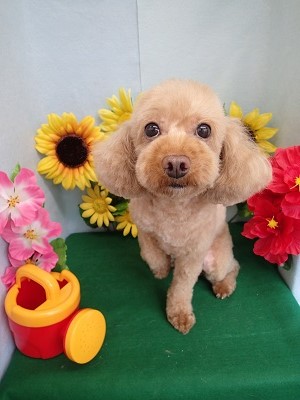 『前と同じ!スッキリしたーー!』