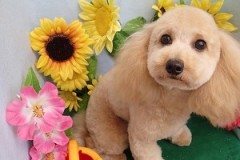 『スッキリしました♪』