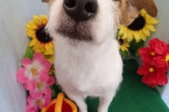 『スッキリ涼しくなりました♪』