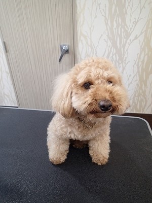 『今日は初挑戦だよ!』