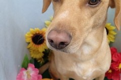 『ふぅ。さっぱりした！』