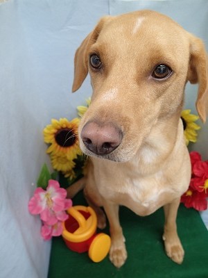 『ふぅ。さっぱりした!』