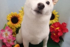 『何して遊ぼっか？？』