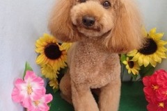 『いつもよりリラックスだったかな！』