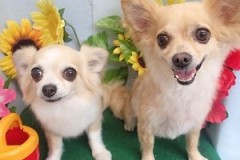 『さっぱりしたわ♪』