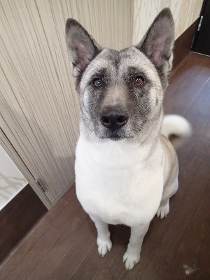 『それ!くれるのよね?』