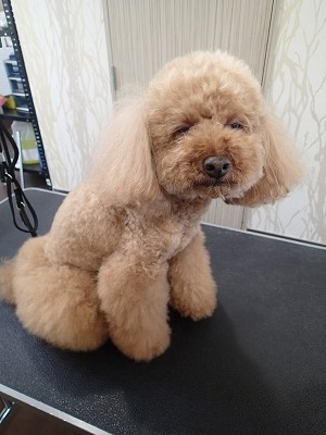 『今日はいつもより良い匂いがするね。』