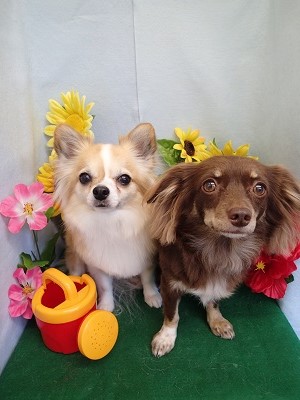 『サッパリのサラサラ♪』