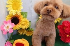 『ふぅ、スッキリした♪』