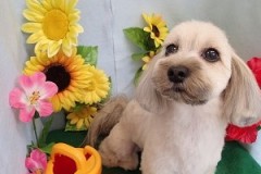 『今回も良い感じ～♪』