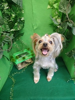 『結びを左寄せにしてもらったよ♪』