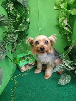 『今回もサラサラです♪』