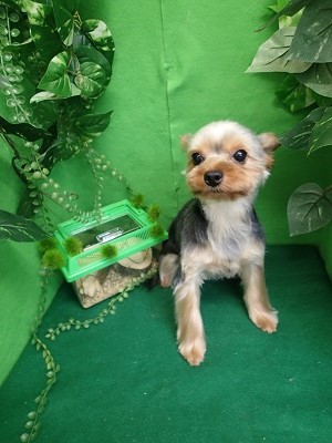 『今日もサッパリしてもらったよ♪』