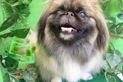 『今日もサラッサラ♪』