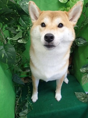 『綺麗になったでしょ？！』