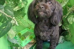 『短くスッキリ☆』