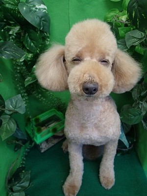 『もう眠い～…』