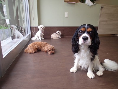 『写真はカッコよく写らないとね!』