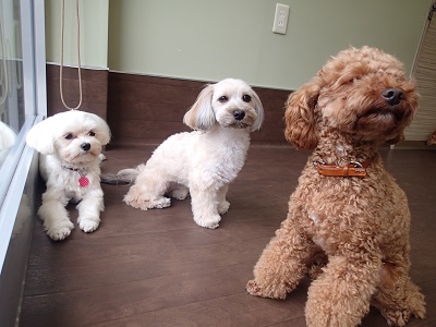 『二人、似てると思わない?』