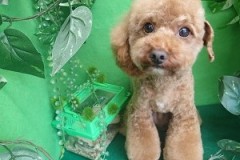 『前回の続きのアシンメトリー♪』