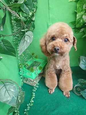 『前回の続きのアシンメトリー♪』