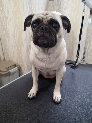 『今日もお願いします!』