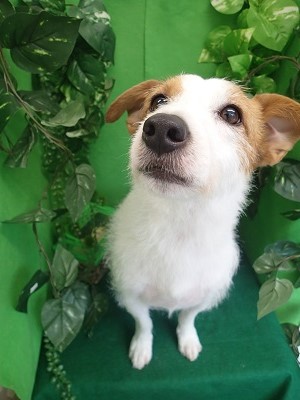 『真っ白サラサラ♪』