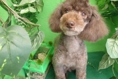 『いつもの感じでスッキリしました～♪』