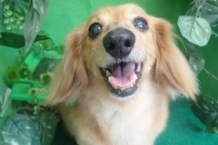 『カットもしてもらいました♪』