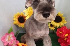 『かっこよくなったよね！』