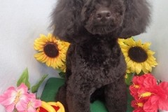 『似合うかな？かっこいい？？』