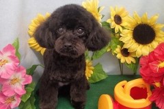 『今日も良い感じ♪』