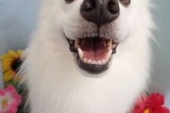 『真っ白～♪♪』