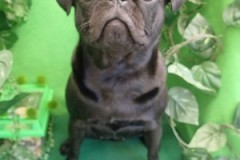 『どぉ？ツヤツヤでしょ！』