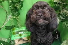 『サッパリしたー！早く遊びに行きたい！！』