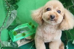 『今回も頑張ったでしょ？』