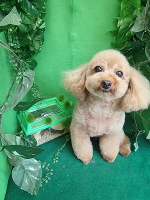 『今回も頑張ったでしょ？』