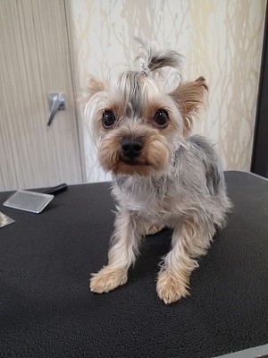 『今日もお願いします！！』