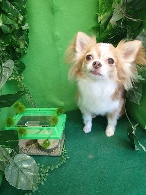 『サラサラにしてもらえました！』